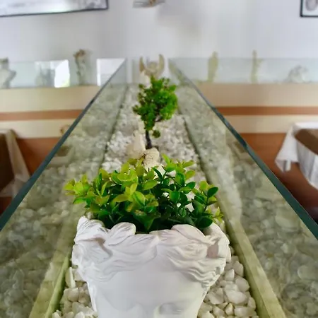 فندق Family Apolonia سوزوبول