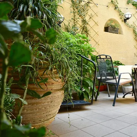 Family Apolonia 3* ソゾポル