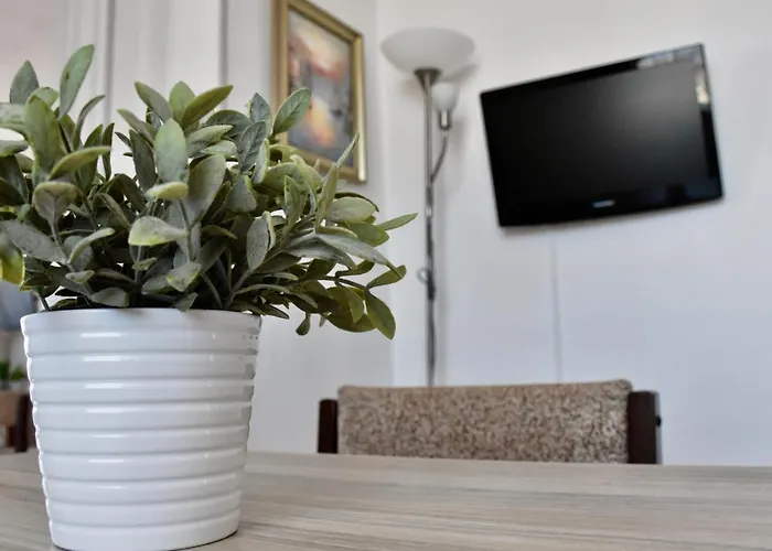 Family Apolonia Σωζόπολη