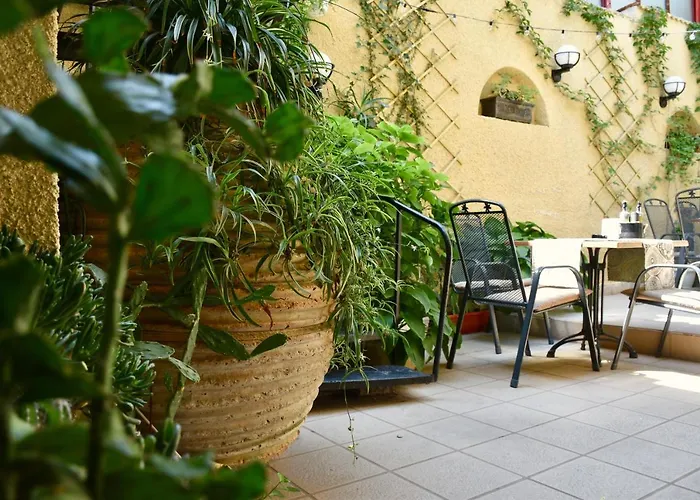 Family Apolonia 3* Σωζόπολη