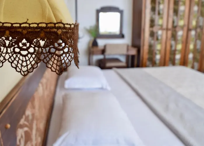 Ξενοδοχείο Family Apolonia 3*